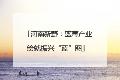河南新野：蓝莓产业绘就振兴“蓝”图