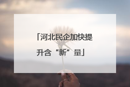 河北民企加快提升含“新”量