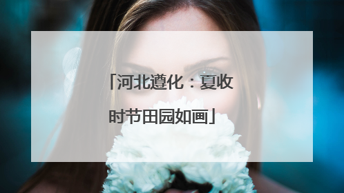 河北遵化：夏收时节田园如画