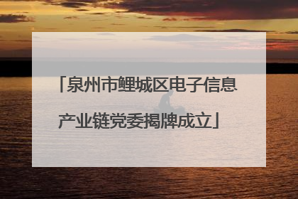 泉州市鲤城区电子信息产业链党委揭牌成立