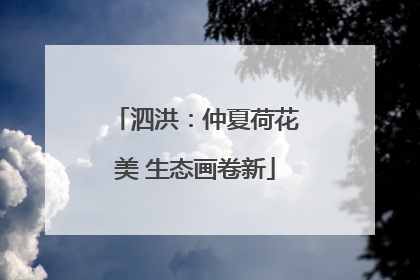 泗洪：仲夏荷花美 生态画卷新