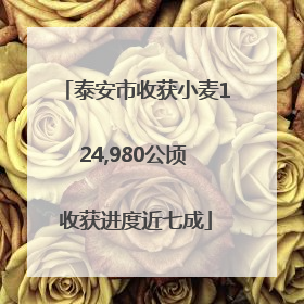 泰安市收获小麦124,980公顷 收获进度近七成