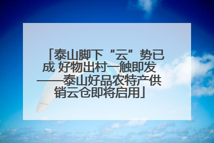泰山脚下“云”势已成 好物出村一触即发——泰山好品农特产供销云仓即将启用