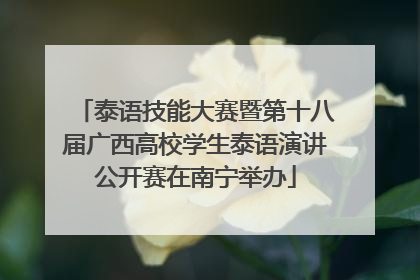 泰语技能大赛暨第十八届广西高校学生泰语演讲公开赛在南宁举办