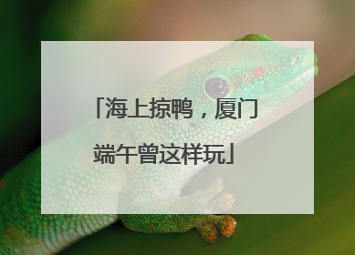 海上掠鸭，厦门端午曾这样玩