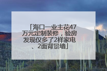 海口一业主花47万元定制装修，验房发现仅多了2样家电、2面背景墙