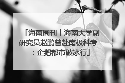 海南周刊丨海南大学副研究员赵鹏曾赴南极科考：企鹅都市破冰行