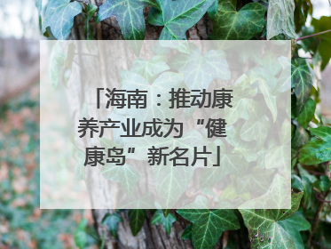 海南：推动康养产业成为“健康岛”新名片