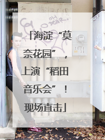 海淀“莫奈花园”，上演“稻田音乐会”！现场直击