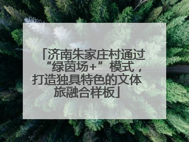 济南朱家庄村通过“绿茵场+”模式，打造独具特色的文体旅融合样板