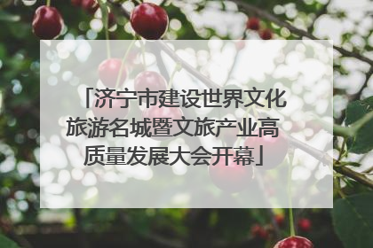 济宁市建设世界文化旅游名城暨文旅产业高质量发展大会开幕