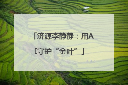 济源李静静：用AI守护“金叶”