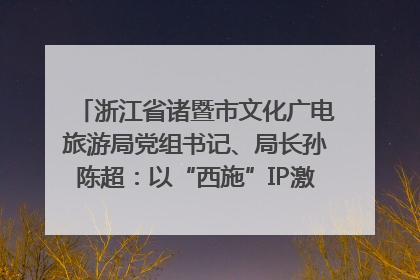 浙江省诸暨市文化广电旅游局党组书记、局长孙陈超：以“西施”IP激活全域旅游 打造县域文旅融合新标杆｜第七届全国县域旅游研究成果发布系列活动