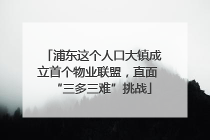 浦东这个人口大镇成立首个物业联盟，直面“三多三难”挑战