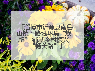 淄博市沂源县南鲁山镇：路域环境“焕新” 铺就乡村振兴“畅美路”