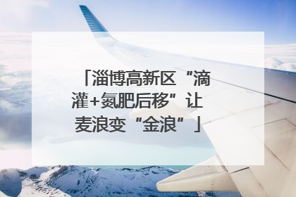 淄博高新区“滴灌+氮肥后移”让麦浪变“金浪”