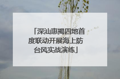 深汕惠揭四地首度联动开展海上防台风实战演练
