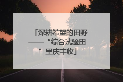 深耕希望的田野——“综合试验田”里庆丰收