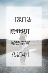 渌口法院组织开展禁毒宣传活动
