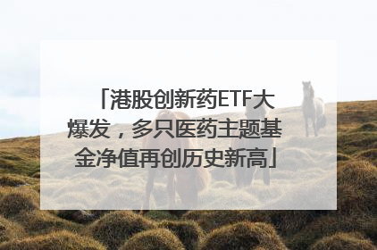 港股创新药ETF大爆发，多只医药主题基金净值再创历史新高