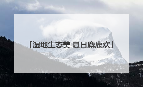 湿地生态美 夏日麋鹿欢