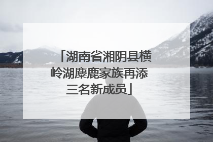 湖南省湘阴县横岭湖麋鹿家族再添三名新成员