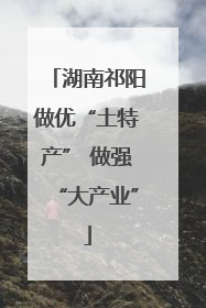 湖南祁阳做优“土特产” 做强“大产业”