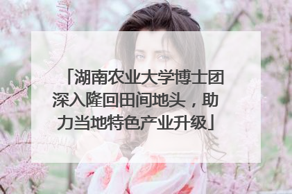 湖南农业大学博士团深入隆回田间地头，助力当地特色产业升级