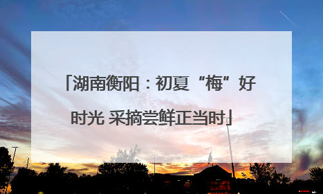 湖南衡阳：初夏“梅”好时光 采摘尝鲜正当时