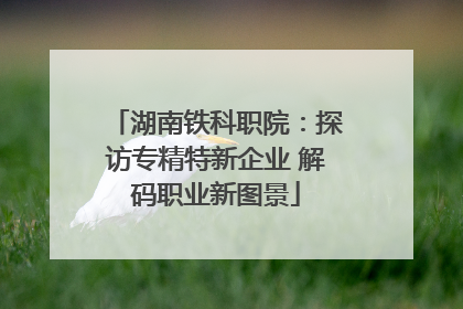 湖南铁科职院：探访专精特新企业 解码职业新图景
