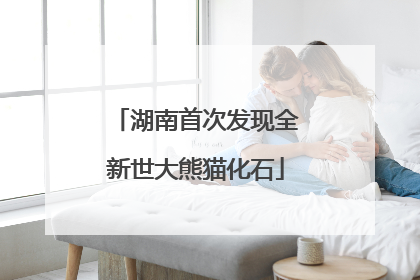 湖南首次发现全新世大熊猫化石
