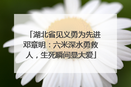 湖北省见义勇为先进邓章明：六米深水勇救人，生死瞬间显大爱
