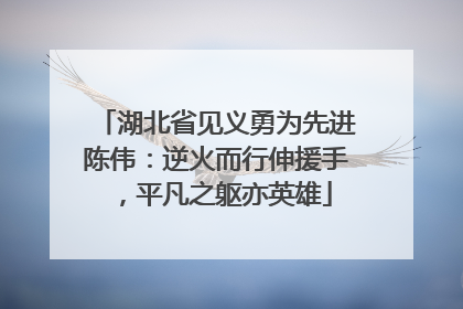 湖北省见义勇为先进陈伟：逆火而行伸援手，平凡之躯亦英雄