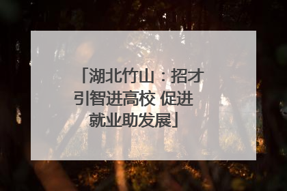湖北竹山：招才引智进高校 促进就业助发展