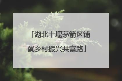 湖北十堰茅箭区铺就乡村振兴共富路