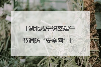 湖北咸宁织密端午节消防“安全网”