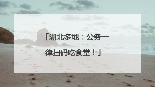 湖北多地：公务一律扫码吃食堂！