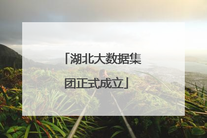 湖北大数据集团正式成立