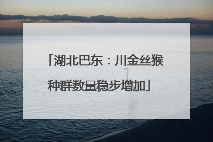 湖北巴东：川金丝猴种群数量稳步增加