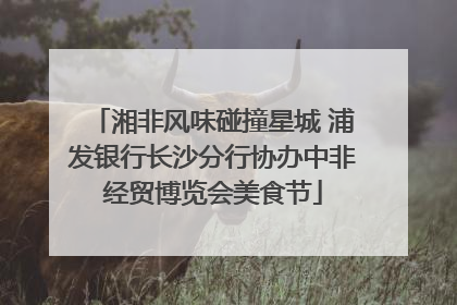 湘非风味碰撞星城 浦发银行长沙分行协办中非经贸博览会美食节