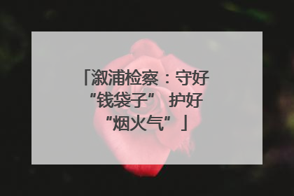 溆浦检察：守好“钱袋子” 护好“烟火气”