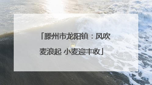 滕州市龙阳镇：风吹麦浪起 小麦迎丰收