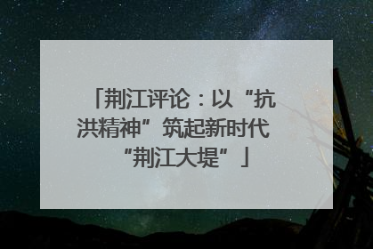 荆江评论：以“抗洪精神”筑起新时代“荆江大堤”