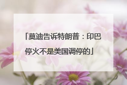 莫迪告诉特朗普：印巴停火不是美国调停的