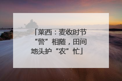 莱西：麦收时节“警”相随，田间地头护“农”忙