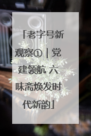 老字号新观察①｜党建领航 六味斋焕发时代新韵