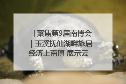 聚焦第9届南博会｜玉溪抚仙湖畔旅居经济上南博 展示云南生活新样本