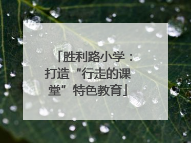胜利路小学：打造“行走的课堂”特色教育