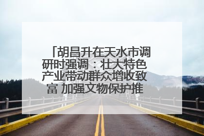胡昌升在天水市调研时强调：壮大特色产业带动群众增收致富 加强文物保护推动文化创新发展