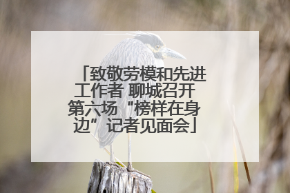 致敬劳模和先进工作者 聊城召开第六场“榜样在身边”记者见面会